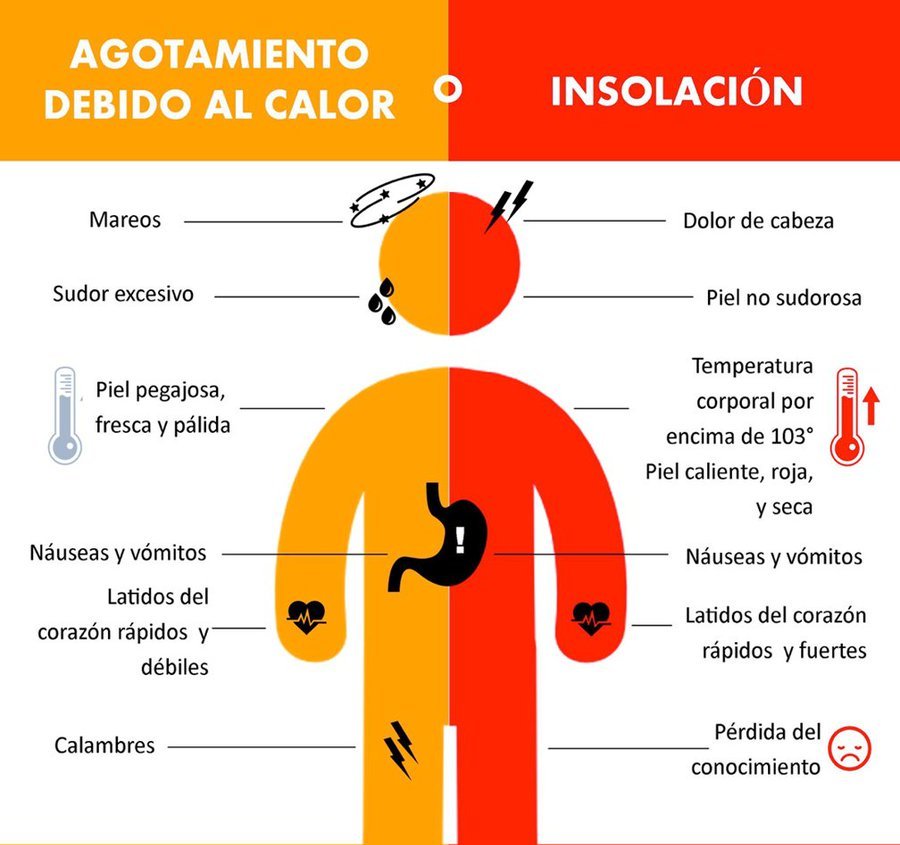 DIF DA A CONOCER SÍNTOMAS DE ENFERMEDADES PROVOCADAS POR EL CALOR – El ...